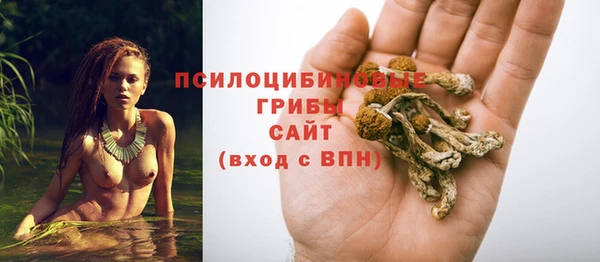 экстази Абаза