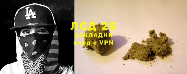 гашик Алексеевка