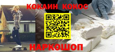 крисы Гатчина