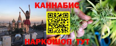 крисы Гатчина