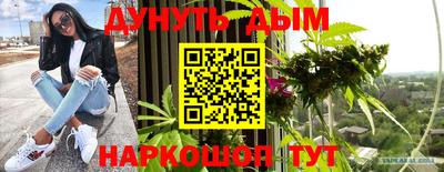 шишки Гагарин