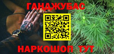 крисы Гатчина