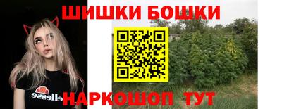 крисы Гатчина