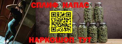 шишки Гагарин