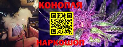 крисы Гатчина