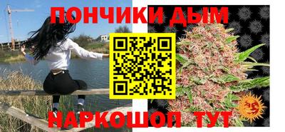 шишки Гагарин