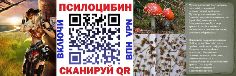 kraken как войти Соликамск Псилоцибиновые грибы Cubensis