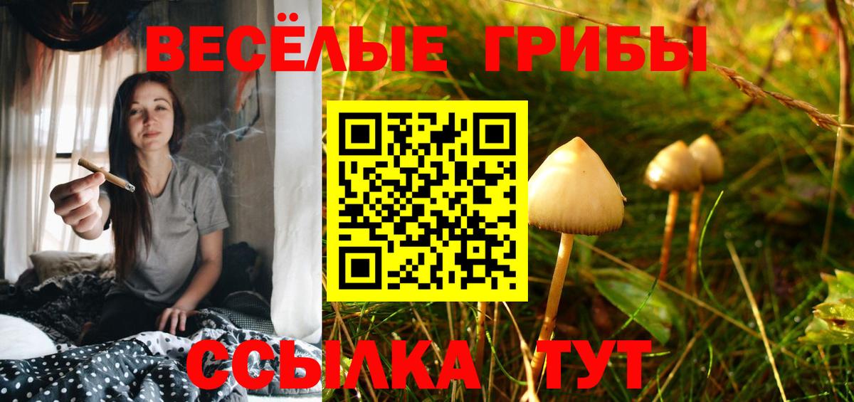 Псилоцибиновые грибы мухоморы Соликамск