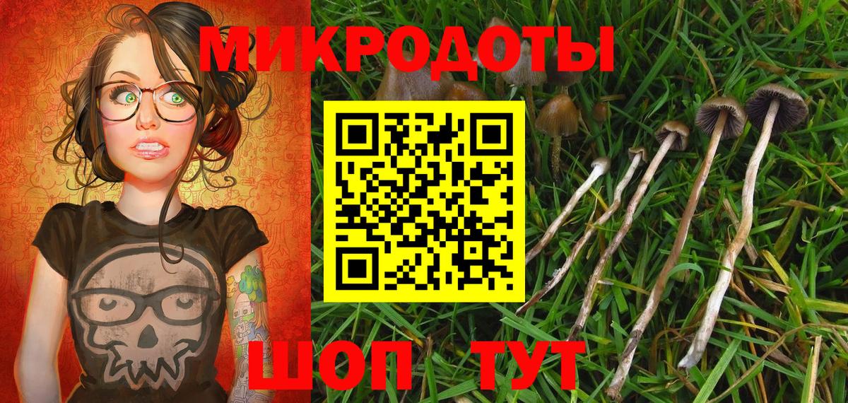 Псилоцибиновые грибы GOLDEN TEACHER  Псилоцибиновые грибы Magic Shrooms  закладки  Вход с VPN  Соликамск 